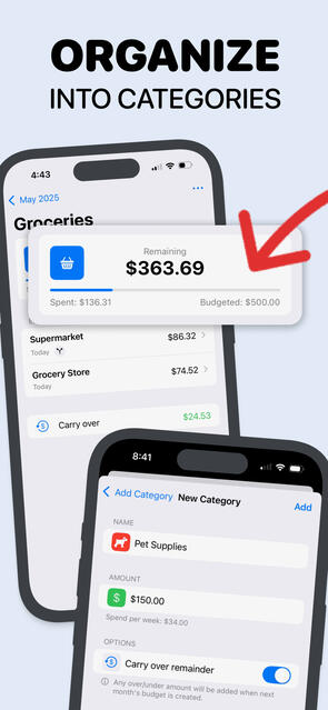 Organize into categories Budget category